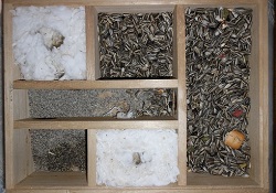 ハムスターの家