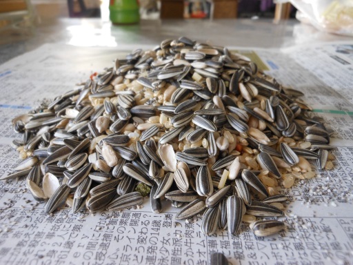 回収した「ヒマワリの種」