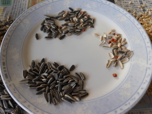 回収した「ヒマワリの種」